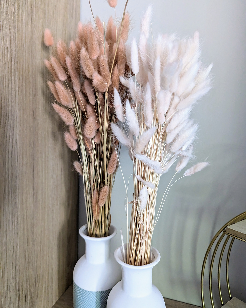 Comment choisir ses fleurs séchées selon son style de décoration ?