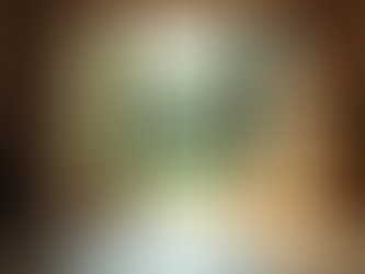 Unique Window Designs to Brighten Your Space