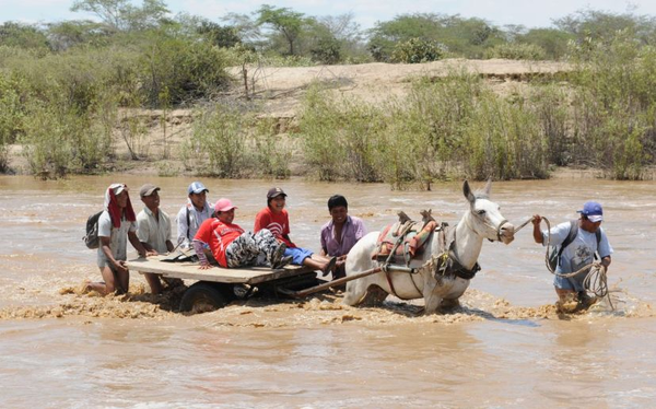 DESDE EL NORTE; RECONSTRUCCIÓN CON ORGANIZACIÓN