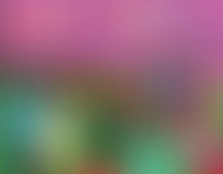 MOVIMIENTO NUEVO PERÚ: DESAFIOS PARA DAR UN SALTO ORGANIZATIVO