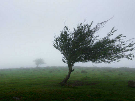 "...sólo un fuerte viento..."