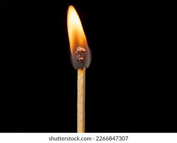 ree