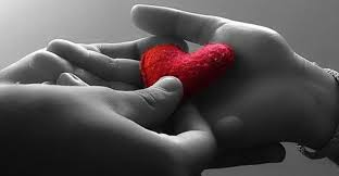 Un corazón agradecido...
