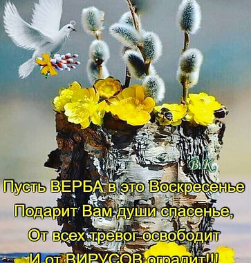 изображение_viber_2020-04-12_10-09-44.jp