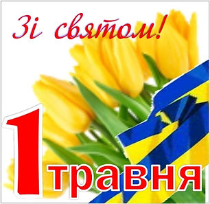 2951_1.jpg