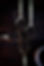 IMG_3117.jpeg