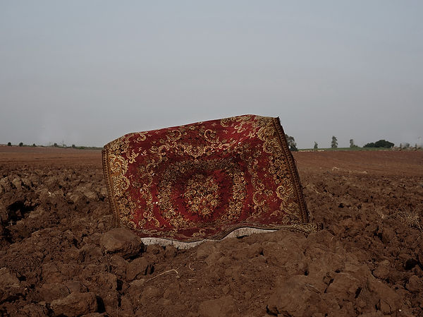 Eran Gilat and Sefi Sendik_Order_19LR.jpg