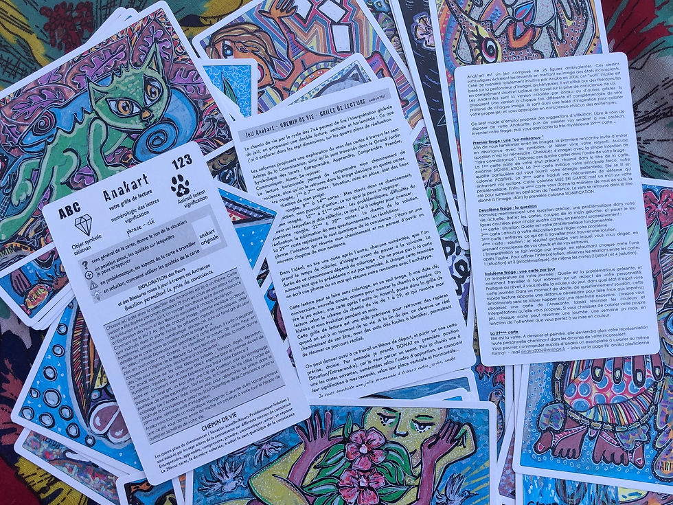Miniature : Le Carnet Anakonte du Volcan Immobile