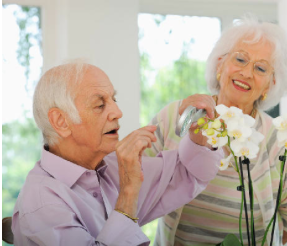 MONTEVISTA GARDEN | RESIDENTIAL CARE FACILITY FOR THE ELDERLY