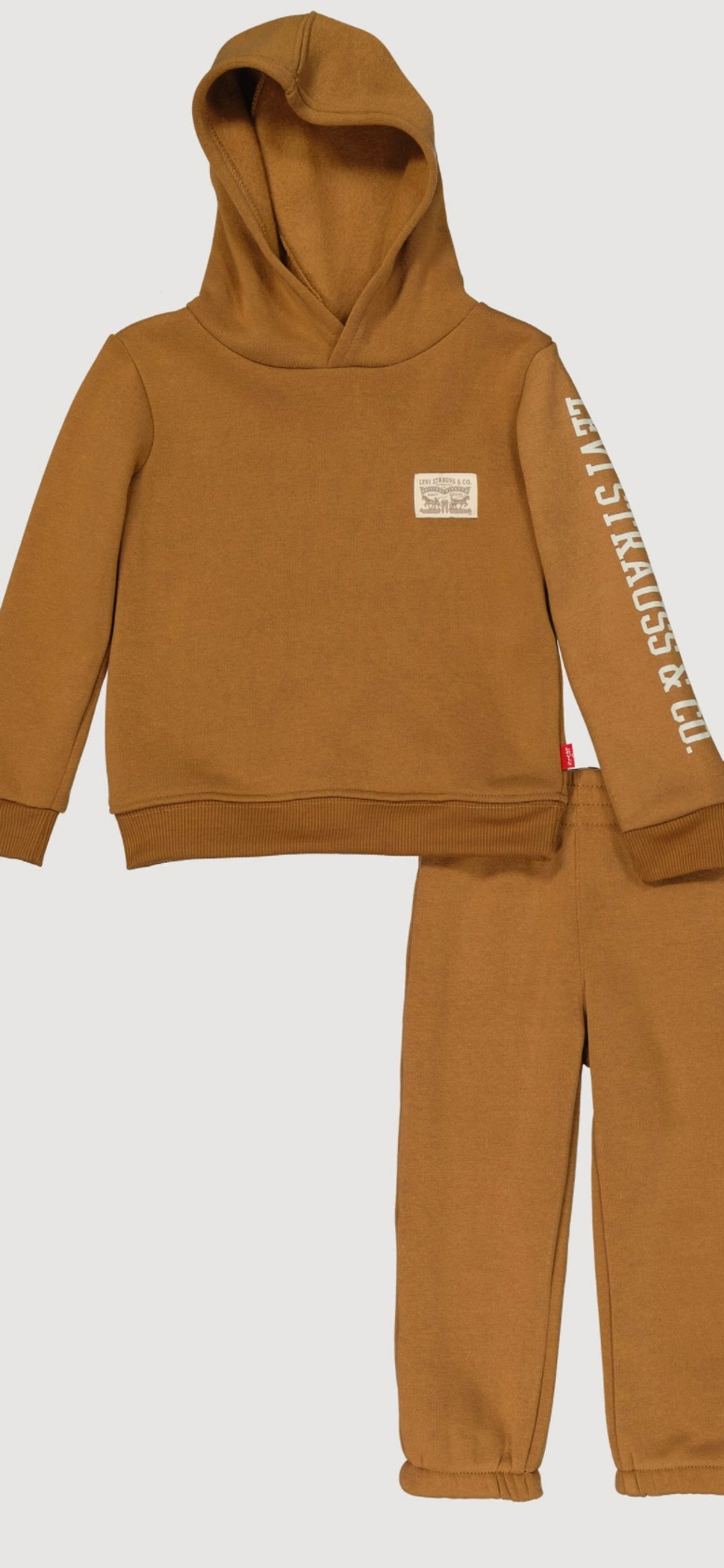 Toddler Boys Levis Graphic Hoodie