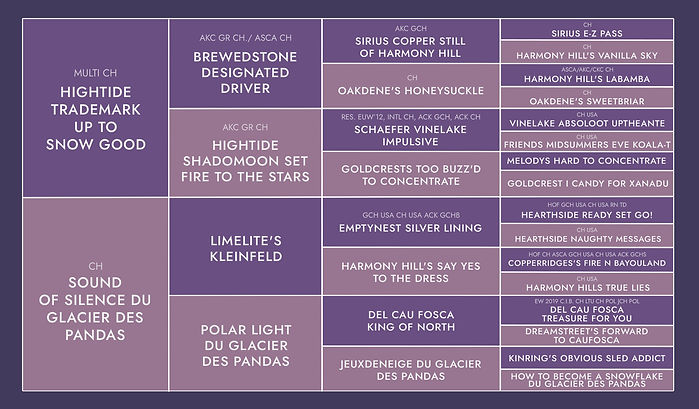 UNICORN OF SWEET WORLD DU GLACIER DES PANDAS