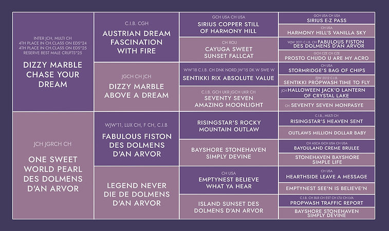 SWEET WORLD SANEM
ALWAYS IN OUR HEARTS • NBT