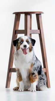 TWO J’S SWEET WOLRD MY NESLIHAN