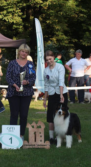 NEW SOUL POWER DES TERRES DE KHAIRYACA • NBT