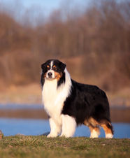 NEW SOUL POWER DES TERRES DE KHAIRYACA • NBT