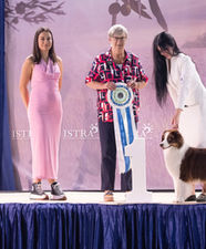 ALBA DOMINUS BORNED
FROM SWEET WORLD