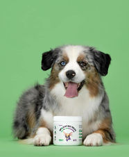 TWO J’S SWEET WOLRD MY NESLIHAN