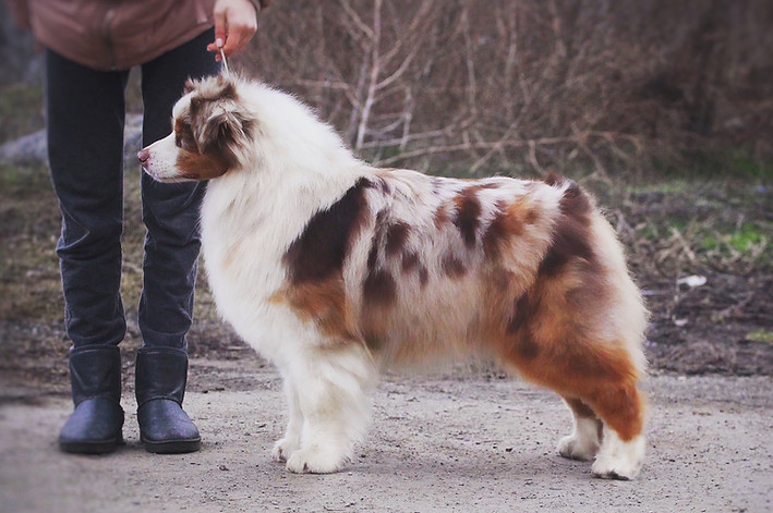 ONE SWEET WORLD PEARL DES DOLMENS D’AN ARVOR