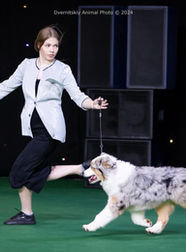 UNICORN OF SWEET WORLD DU GLACIER DES PANDAS