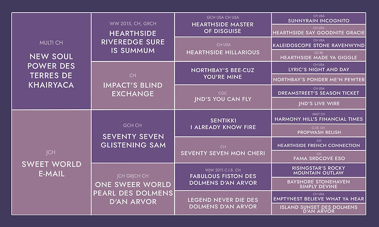 ALBA DOMINUS
BRENDA DOLORES