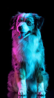 TWO J’S SWEET WOLRD MY NESLIHAN