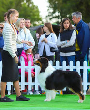 NEW SOUL POWER DES TERRES DE KHAIRYACA • NBT