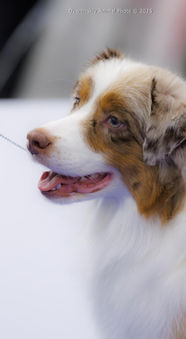 SWEET WORLD SANEM
ALWAYS IN OUR HEARTS • NBT