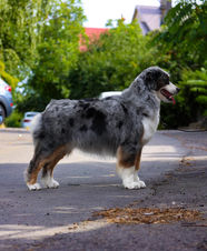 TWO J’S SWEET WOLRD MY NESLIHAN