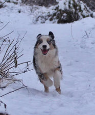 SWEET WORLD MOON OF THE SHINE