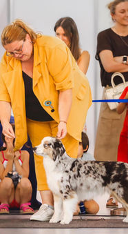 SWEET WORLD MOON OF THE SHINE