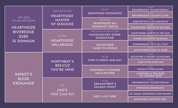 NEW SOUL POWER DES
TERRES DE KHAIRYACA • NBT