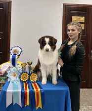 ALBA DOMINUS BORNED
FROM SWEET WORLD