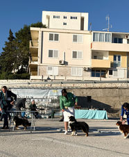 UNIVERSE OF UNICORNS ALEO FOR SWEET WORLD