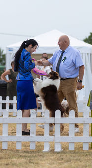 ALBA DOMINUS BORNED
FROM SWEET WORLD