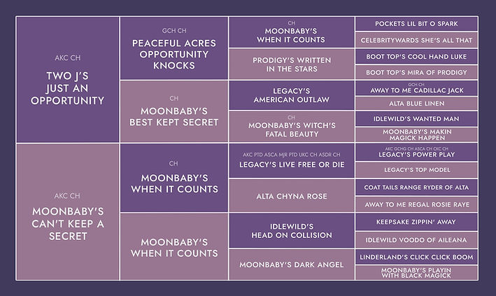 TWO J’S SWEET WOLRD MY NESLIHAN
