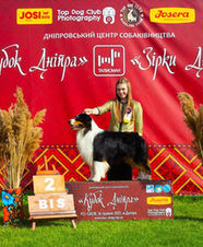 NEW SOUL POWER DES TERRES DE KHAIRYACA • NBT