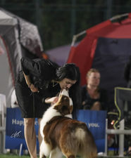 ALBA DOMINUS BORNED
FROM SWEET WORLD