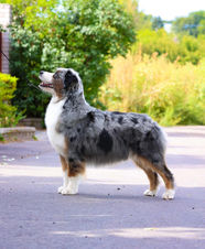 TWO J’S SWEET WOLRD MY NESLIHAN