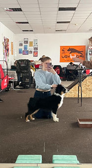 UNIVERSE OF UNICORNS ALEO FOR SWEET WORLD