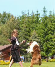 ALBA DOMINUS BORNED
FROM SWEET WORLD