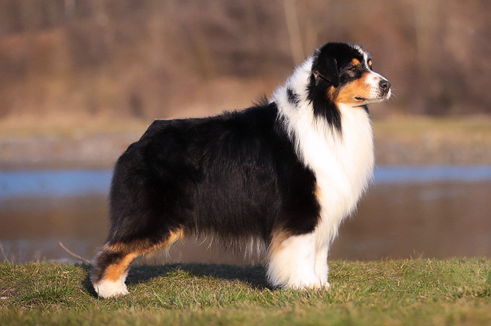 NEW SOUL POWER DES TERRES DE KHAIRYACA • NBT