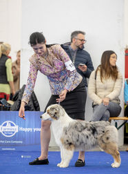 UNICORN OF SWEET WORLD DU GLACIER DES PANDAS