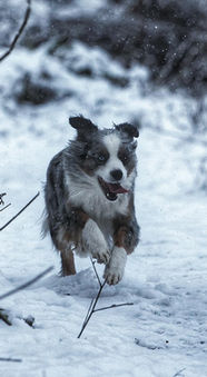 TWO J’S SWEET WOLRD MY NESLIHAN