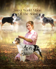 SWEET WORLD MOON OF THE SHINE