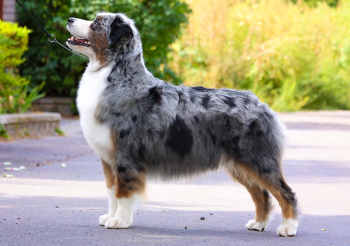 TWO J’S SWEET WOLRD MY NESLIHAN