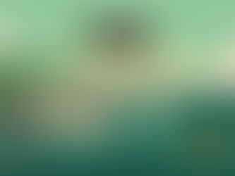 VIVOBAREFOOTが2026年 VA'A JAPAN主催 OC1 /V1 Racing Series タイトルスポンサーに就任