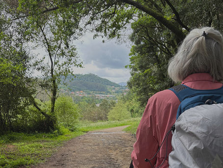 "Solvitur Ambulando" - St. Augustine