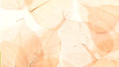 feuille