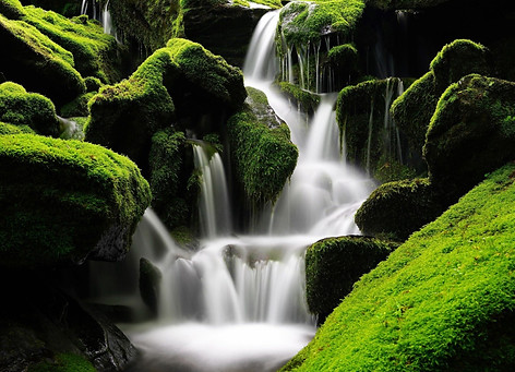 Untitled design (1)_edited.jpg