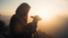 AdobeStock_631631354.jpeg
